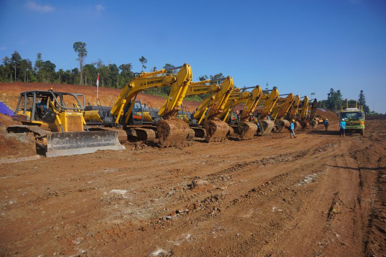 Palm Oil Land Clearing